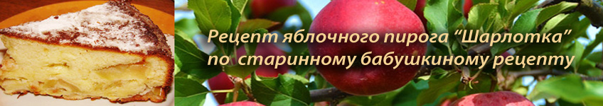 Рецепт яблочного пирога Шарлотка